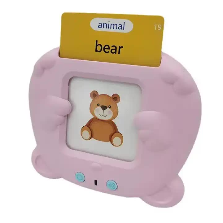 EARLY EDUCATION INTERACTIVE CARD READER WITH 510 CARDS